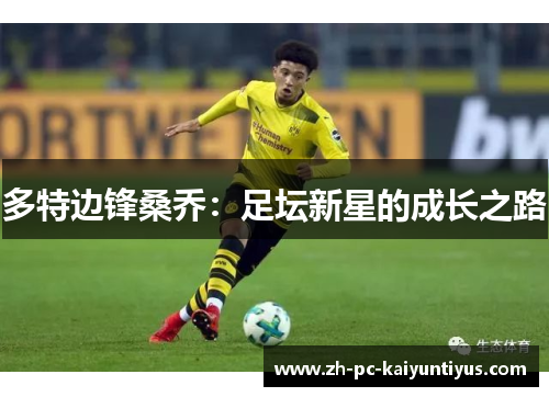 多特边锋桑乔：足坛新星的成长之路