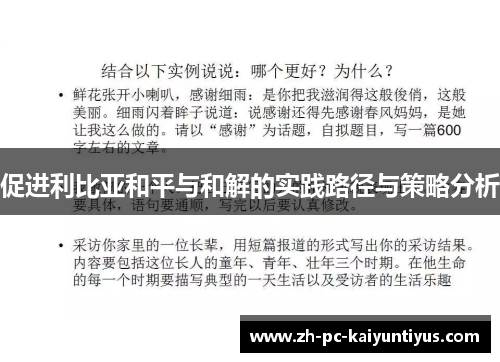 促进利比亚和平与和解的实践路径与策略分析