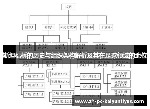 斯坦福桥的历史与组织架构解析及其在足球领域的地位