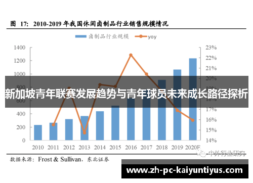 新加坡青年联赛发展趋势与青年球员未来成长路径探析 新加坡青年联赛发展趋势与青年球员未来成长路径探析